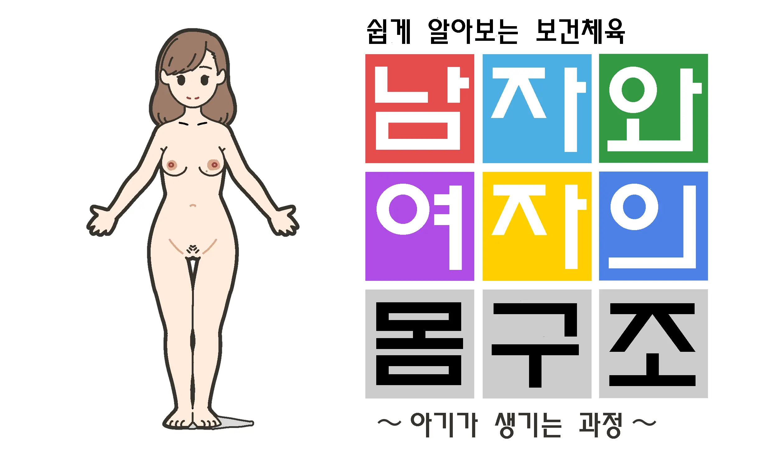 Watashitachi No Karada ~Kodomo Ga Dekirushikumi~ | 남자와 여자의 몸구조 ~아기가 생기는 구조~